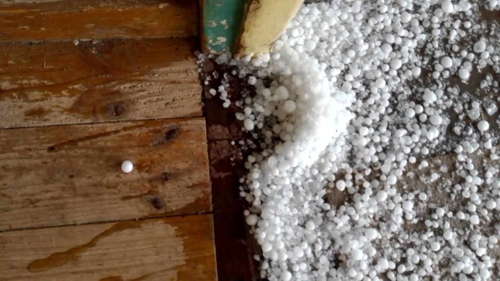 Ester van Wyk Fraserburg