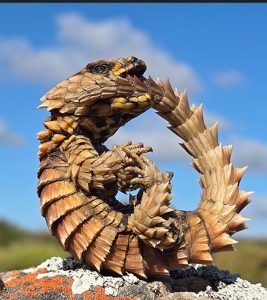 Wildlife traffickers dump protected lizards during high-speed pursuit