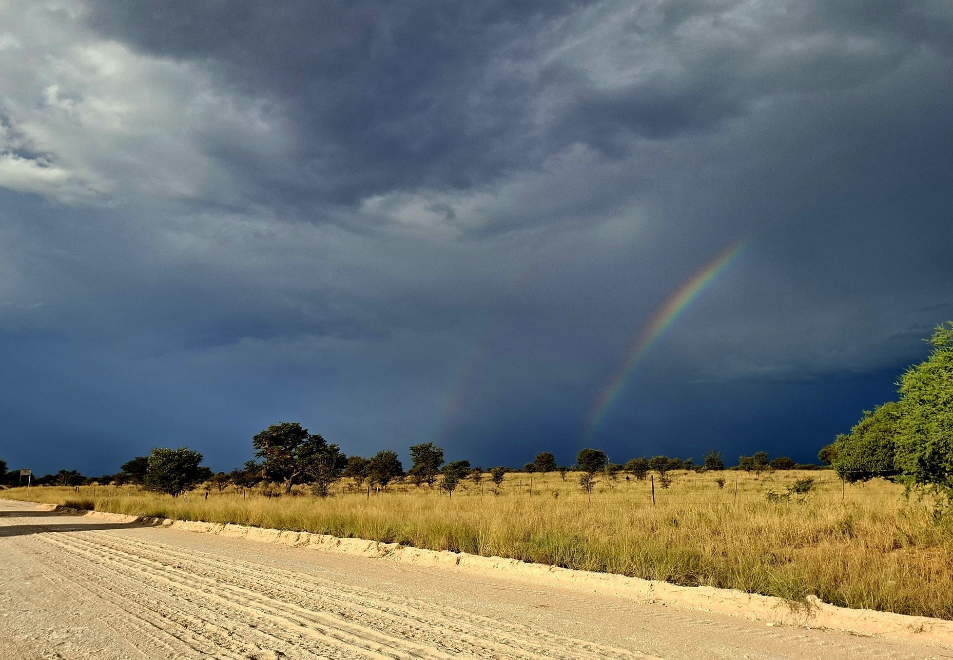 Pieter Kotze McCarthysrus