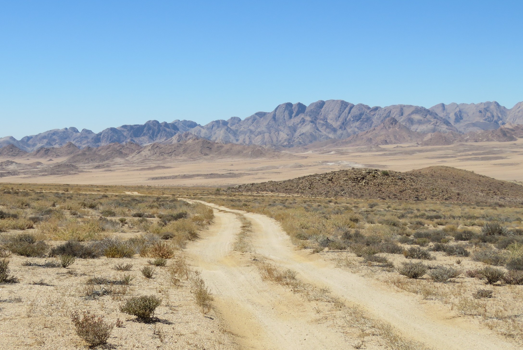 Hittegolf laat kraaie gaap in die weste terwyl hoendervel uitslaan in die ooste
