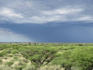 FOTO | In die wolke oor reënbeloftes vir groot dele van die land