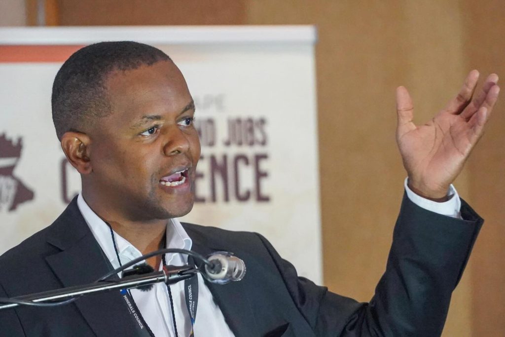 Bongani Motsa acting hief economist of Minerals Council