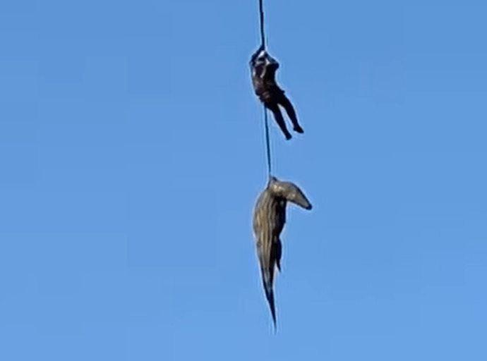 Pottie Potgieter retrieves the dead crocodile.