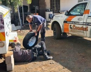 Blue Monday changes colour for SPCA after kindness of ‘incredible community’