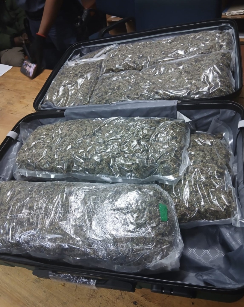 Drugs, fencing a bakkie, and more were confiscated in SAPS operations.