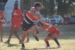 Defence Force Collegians en Sunwolves deur na halfeindronde
