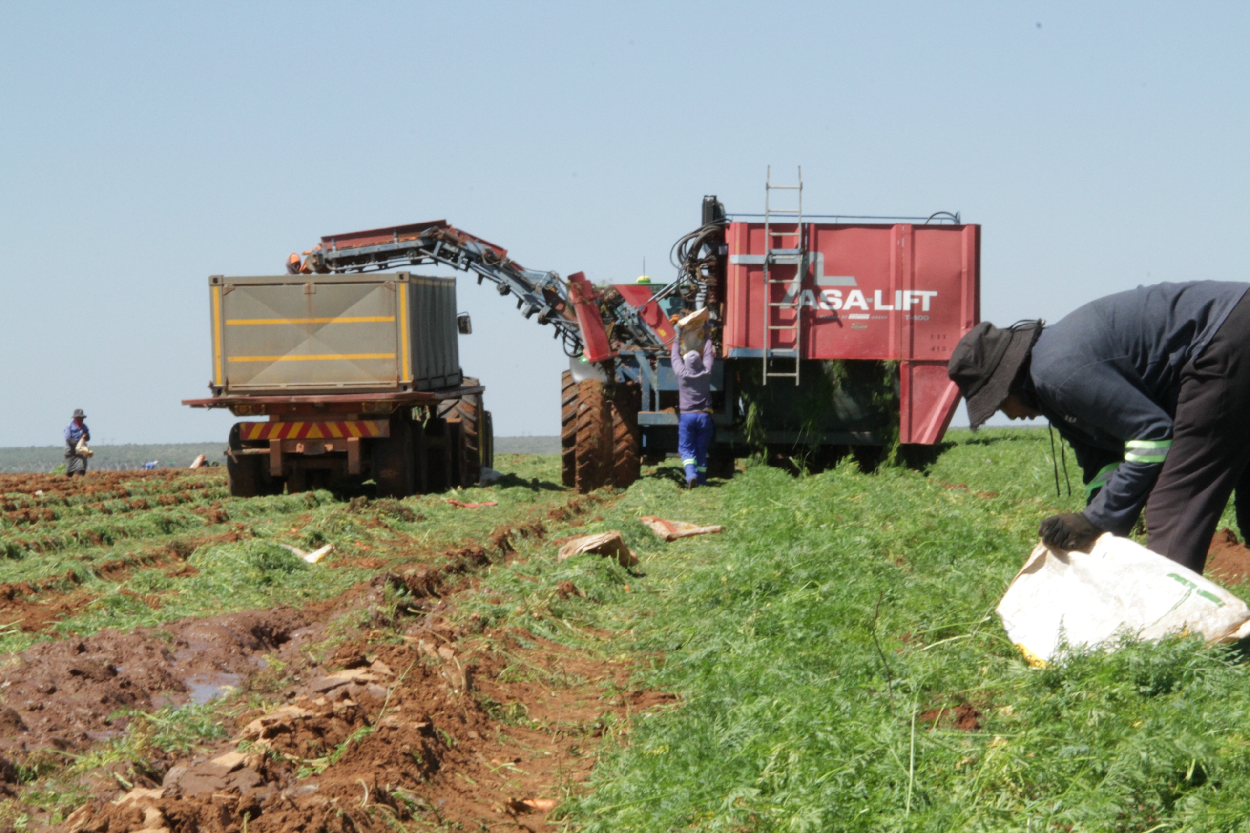 Boere hoor ‘ploeg met verandering’ – gebruik KI vir dataverwerking, opbrengsvoorspelling