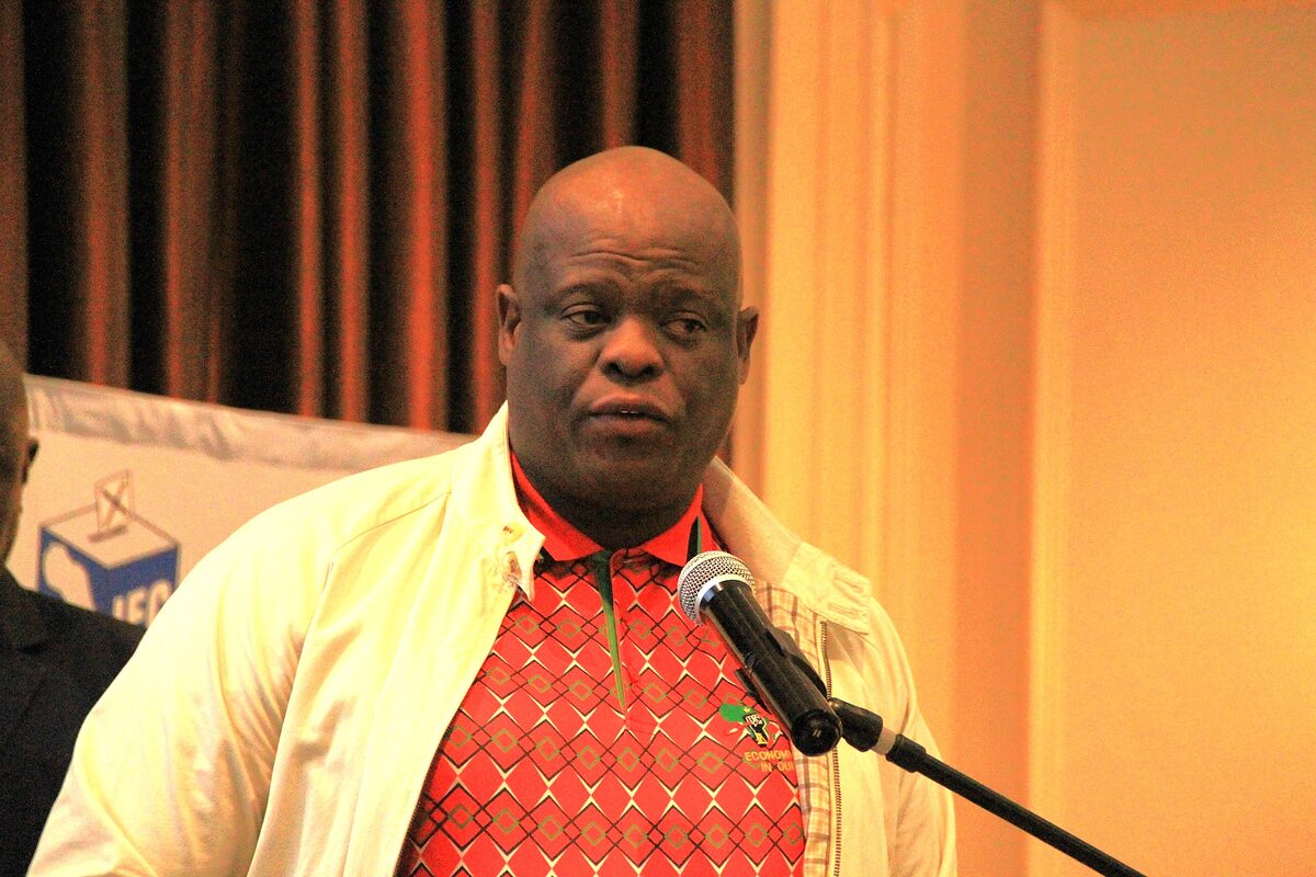 Francis Thulo, Noord-Kaapse adjunk provinsiale sekretaris van die EFF
