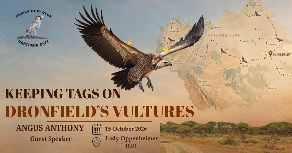 Talk on vultures on 15 October
