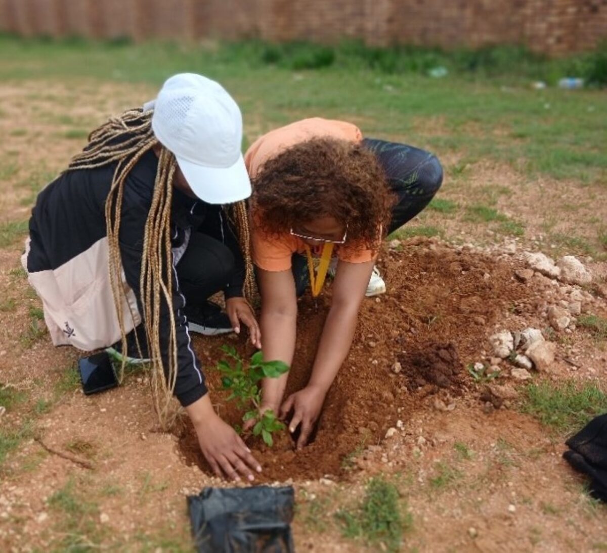 One of the trees planted at the Sonnyboy Jantjies Stadium in Hopetown