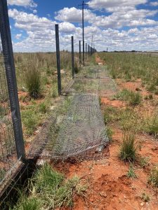 OPINION | Chaos and theft at Kimberley landfill prompt call for municipal action