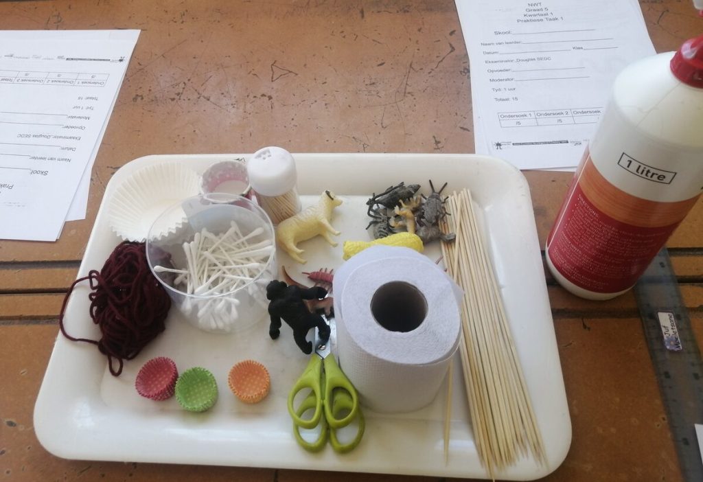 The science programme is tailor-made for each grade.