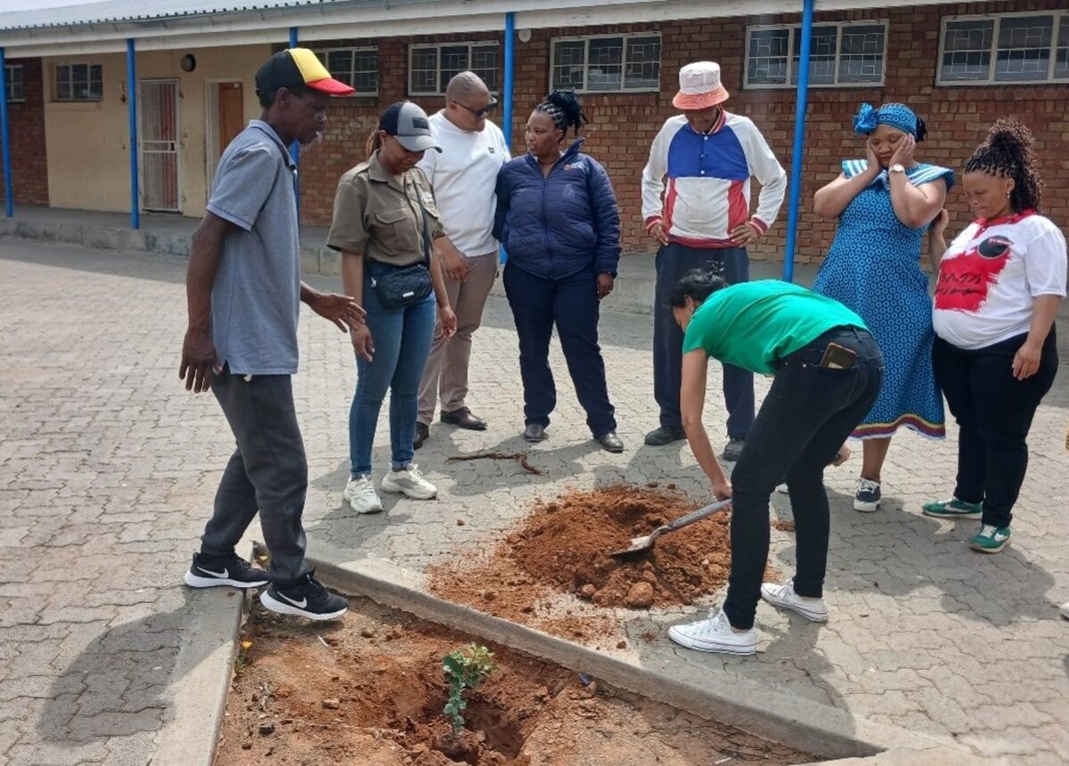 The planting of one of the trees at the Strydenburg Combined School.