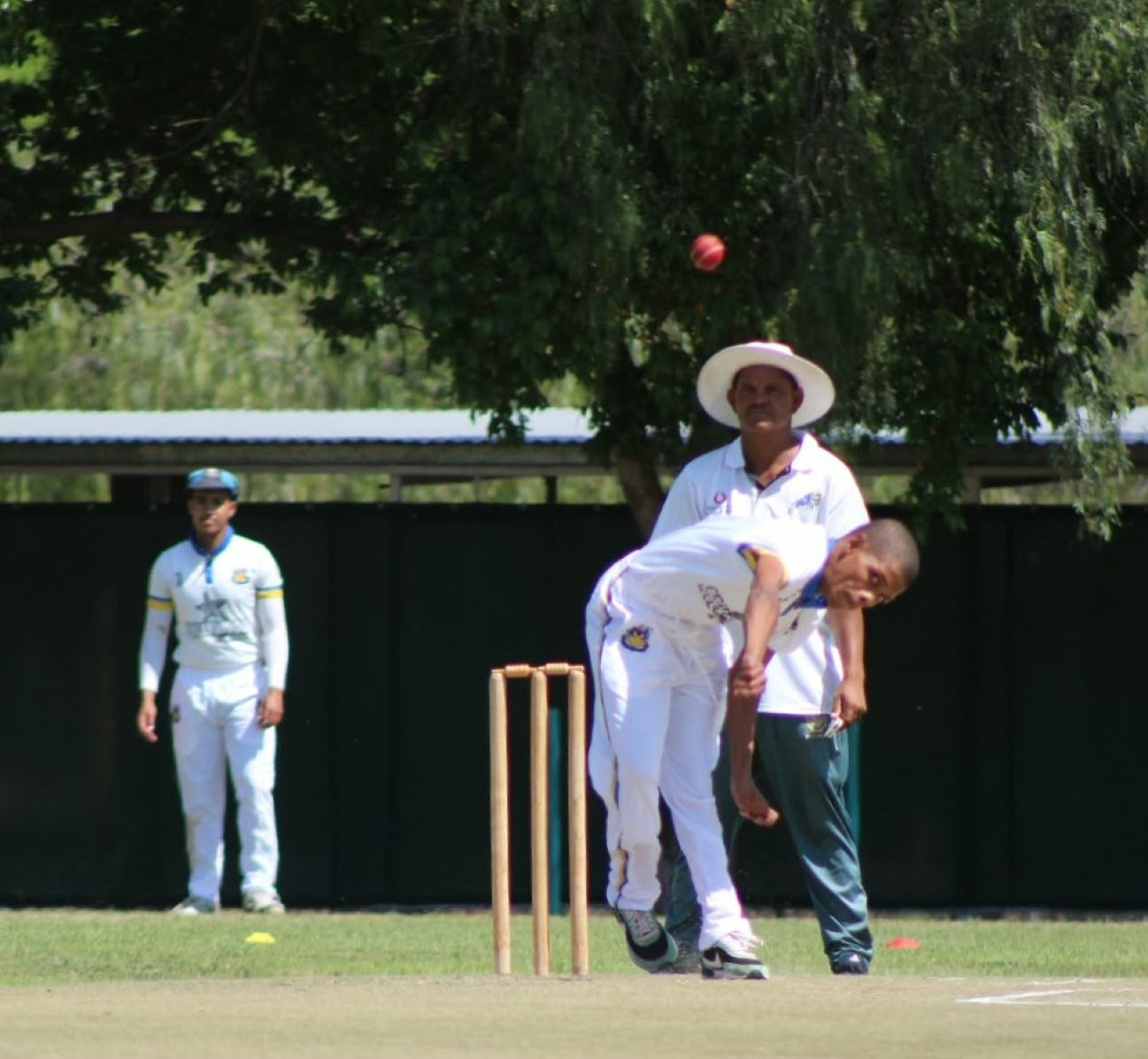 Upington Lions vermorsel Carltonians met oorweldigende 255-lopie-sege