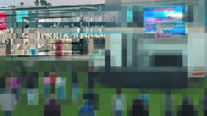 Elvis Blue verras Donkies