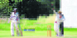 Paarl-krieketklub skitter teen Vredenburg-Saldanha