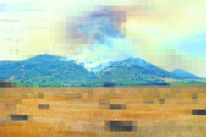 Kommer oor brande en brandstigting in die vallei