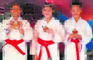 Paarl karate stars