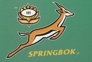 Bokke se sege wys ons nasie is ’n wenspan!