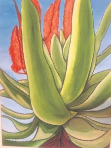 Artist exhibited at Jack Meyer Art School