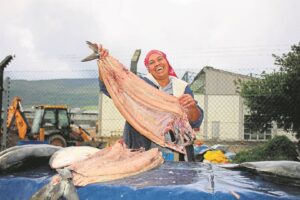 As die snoek lóóp!