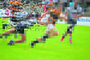 Gim vermorsel Potch-eweknie