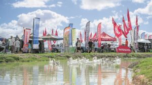 Hou jy van die buitelewe? Moenie dié een misloop!