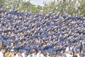 Boishaai hou kop hoog teen Grey