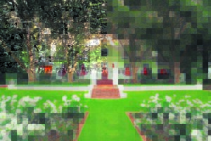 Nederberg’s Baronne a class-act half a century later