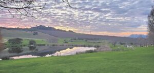 Blaaskans tussen kouefronte