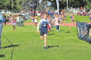 Kampioen in landlope