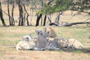 Lots of summer fun in Drakenstein