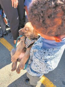 Kinderbeskerming en dierebeskerming is ‘gelyk’