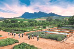 Babylonstoren voted best resort hotel in Africa by Travel + Leisure readers