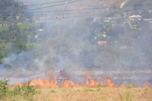Fire brakes out along Jan van Riebeeck Drive