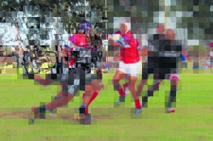 Darling breek Roses se hart