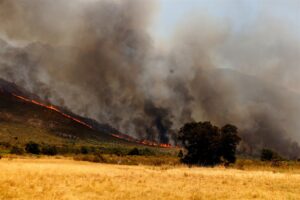 Dae en nagte se vlammehel in Boland weens veldbrande