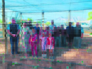 Greenhouse for eco club