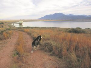 Damme gerat vir die somer