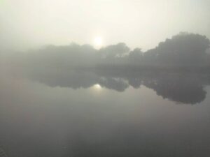 Early on a foggy, misty morning . . .