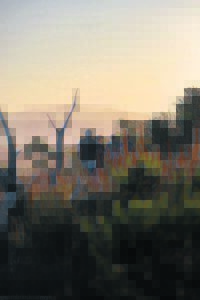 Run and ride before you VOTE!