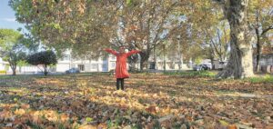 Autumn: the golden season