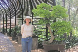 Bonsai-uitstalling by Babylonstoren