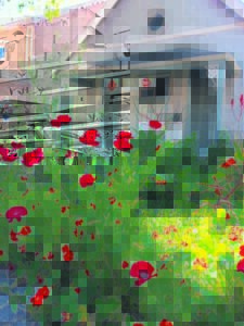 Dra jou blommekroon met trots