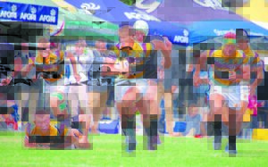 Gimmies bly onstuitbaar