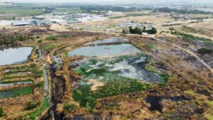 Dít veroorsaak die stank tans in Wellington