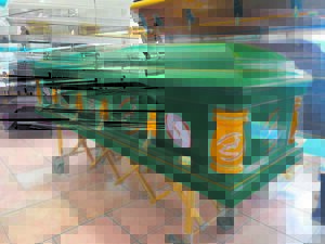 Ter ruste gelê in groen en goud