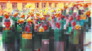 Vitamine C vir die winter