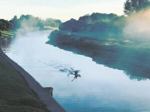 Water quality concerns