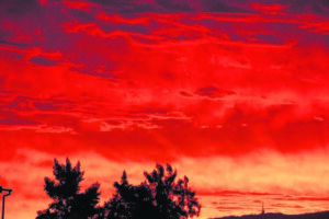 ’n Vlamrooi skouspel